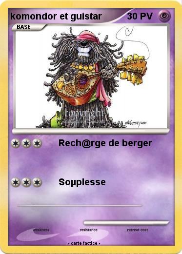 Pokemon komondor et guistar