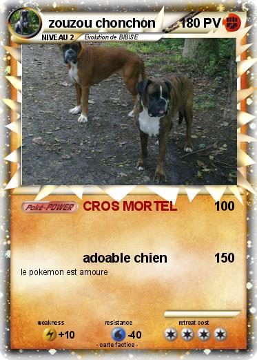 Pokemon zouzou chonchon