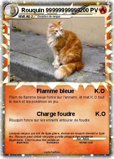Pokemon Rouquin 99999999999