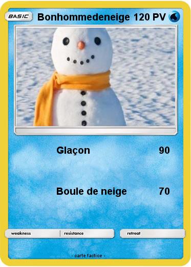 Pokemon Bonhommedeneige