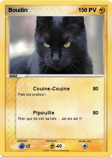 Pokemon Boudin                                        
