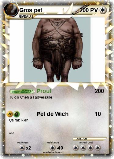 Pokemon Gros pet