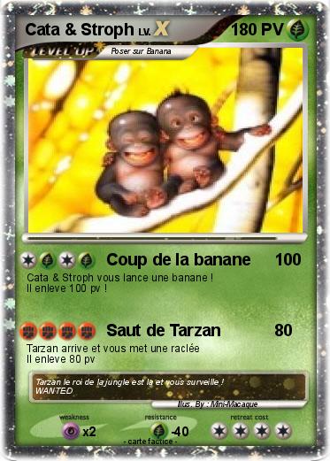 Pokemon Cata & Stroph