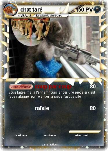 Pokemon chat taré