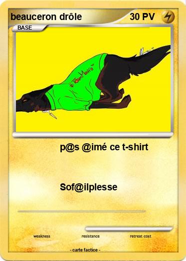 Pokemon beauceron drôle