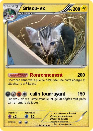 Pokemon Grisou- ex