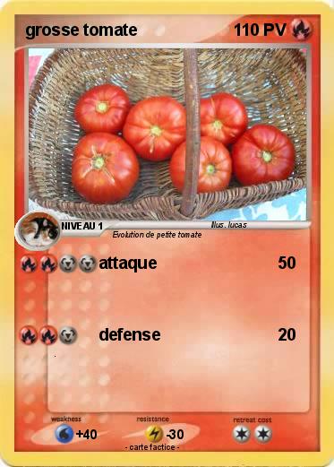 Pokemon grosse tomate