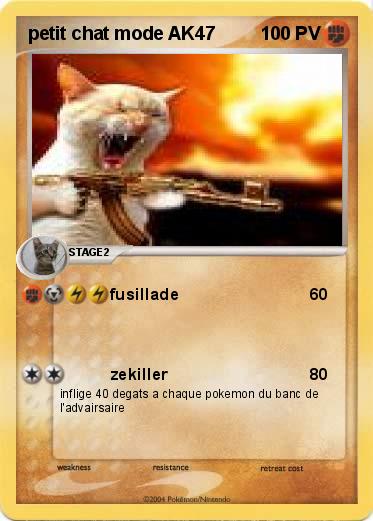 Pokemon petit chat mode AK47