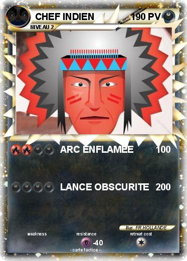 Pokemon CHEF INDIEN