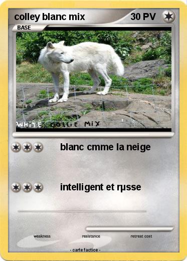 Pokemon colley blanc mix