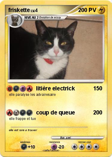 Pokemon friskette