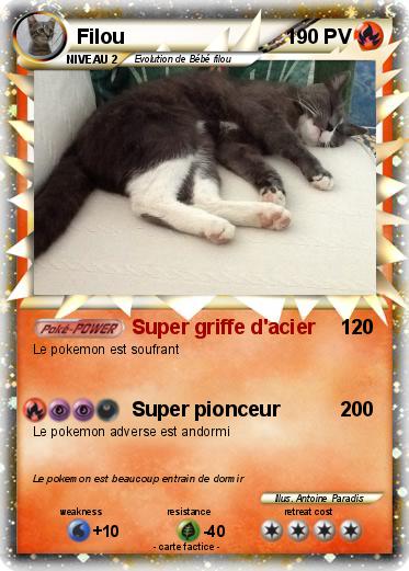 Pokemon Filou