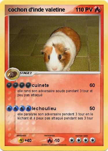 Pokemon cochon d'inde valetine