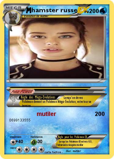 Pokemon hamster russe