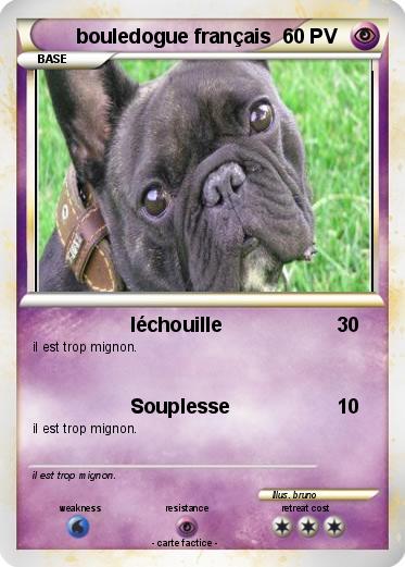 Pokemon bouledogue français