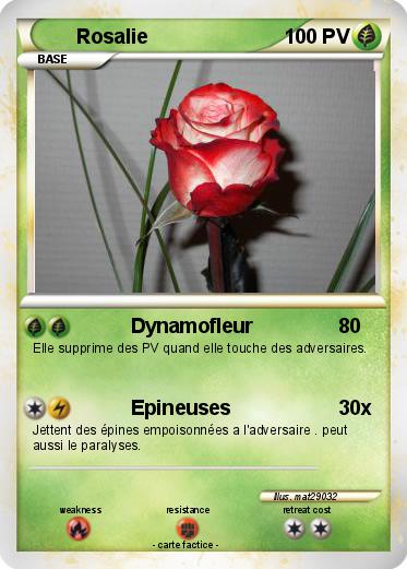 Pokemon Rosalie
