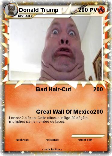 Pokemon Donald Trump
