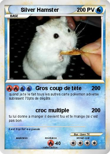 Pokemon Silver Hamster