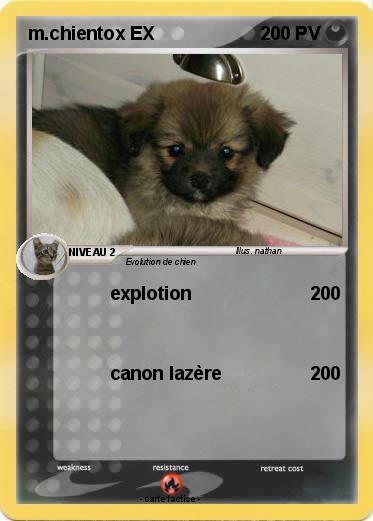 Pokemon m.chientox EX