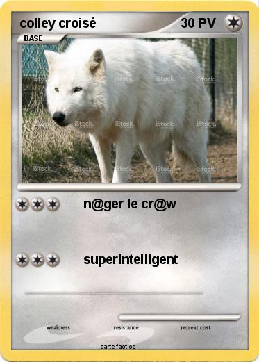 Pokemon colley croisé