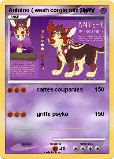 Pokemon Antoino ( wesh corgis mix ) gng