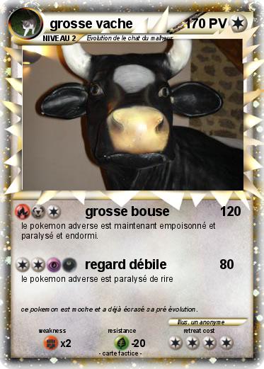 Pokemon grosse vache
