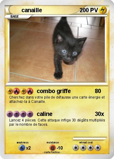 Pokemon canaille