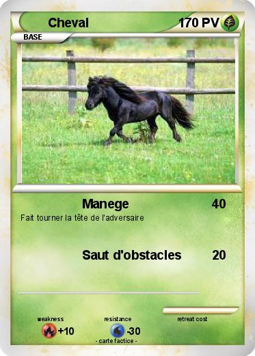 Pokemon Cheval