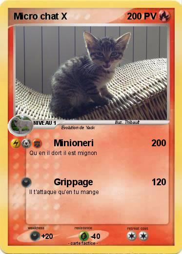 Pokemon Micro chat X