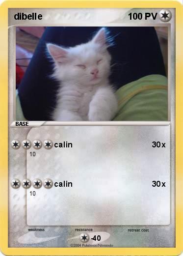 Pokemon dibelle