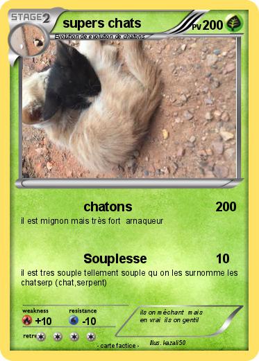 Pokemon supers chats