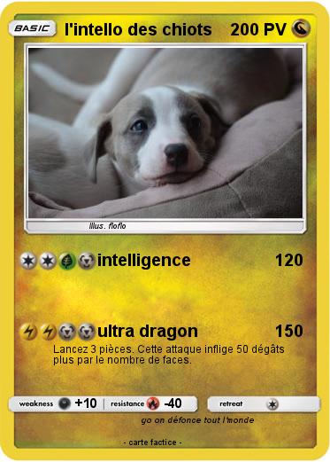 Pokemon l'intello des chiots