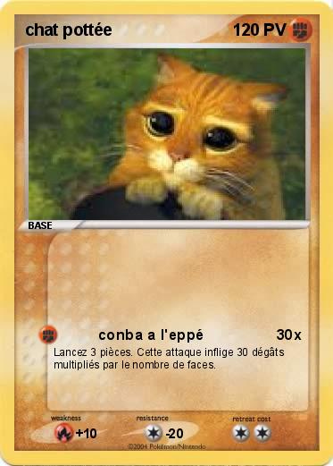 Pokemon chat pottée