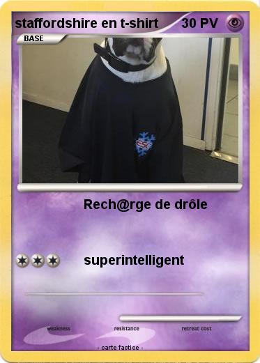 Pokemon staffordshire en t-shirt