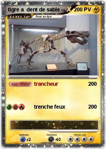 Pokemon tigre a  dent de sable