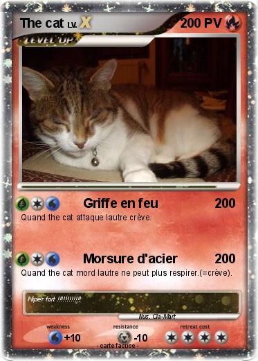 Pokemon The cat