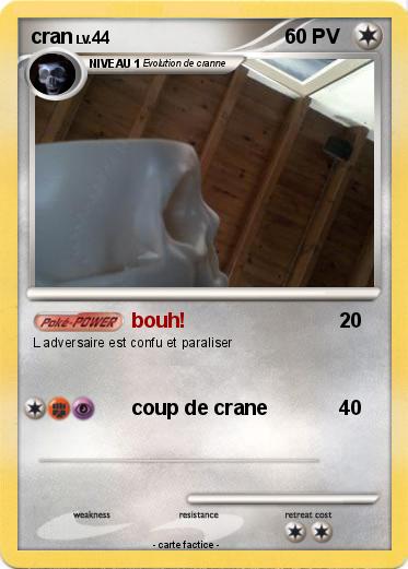 Pokemon cran