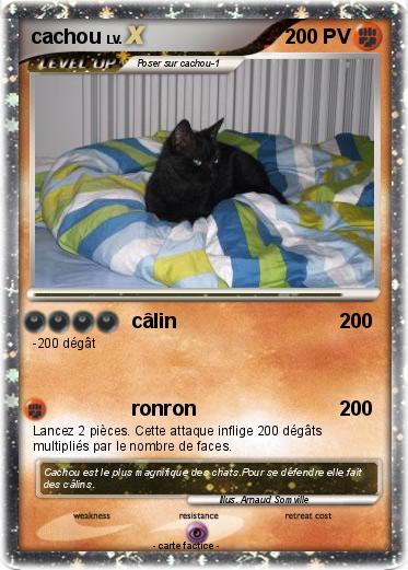 Pokemon cachou