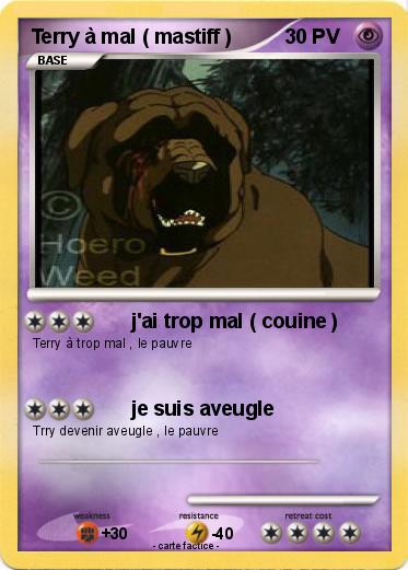 Pokemon Terry à mal ( mastiff )
