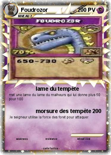 Pokemon Foudrozor