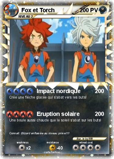Pokemon Fox et Torch