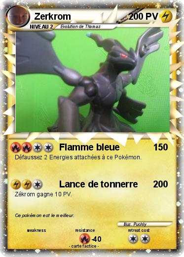 Pokemon Zerkrom