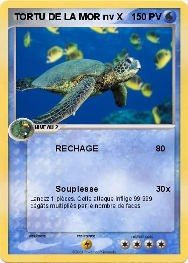 Pokemon TORTU DE LA MOR nv X