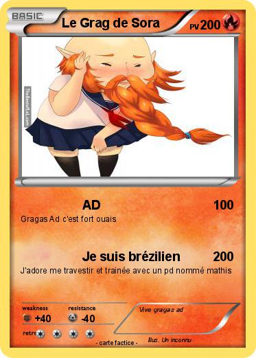 Pokemon Le Grag de Sora