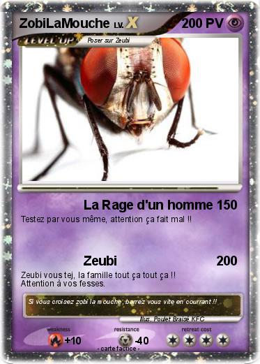 Pokemon ZobiLaMouche