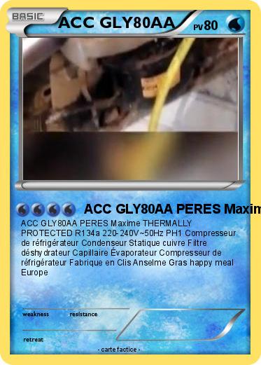 Pokemon ACC GLY80AA