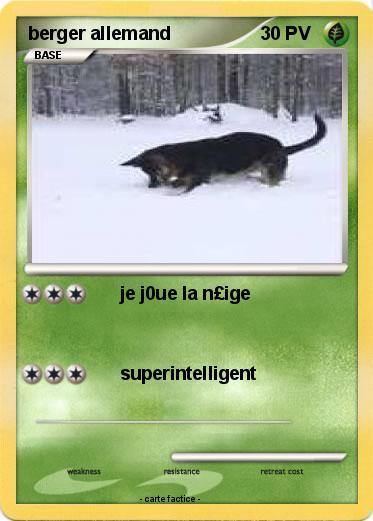 Pokemon berger allemand
