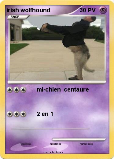 Pokemon irish wolfhound