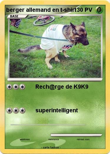 Pokemon berger allemand en t-shirt