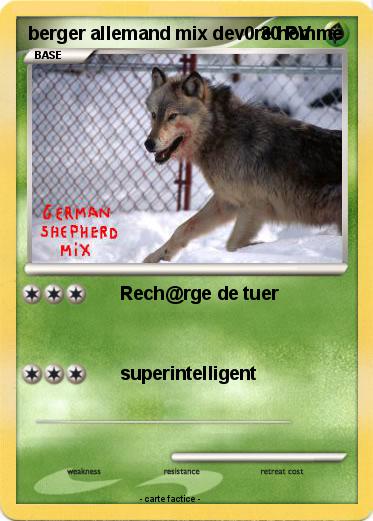 Pokemon berger allemand mix dev0re homme